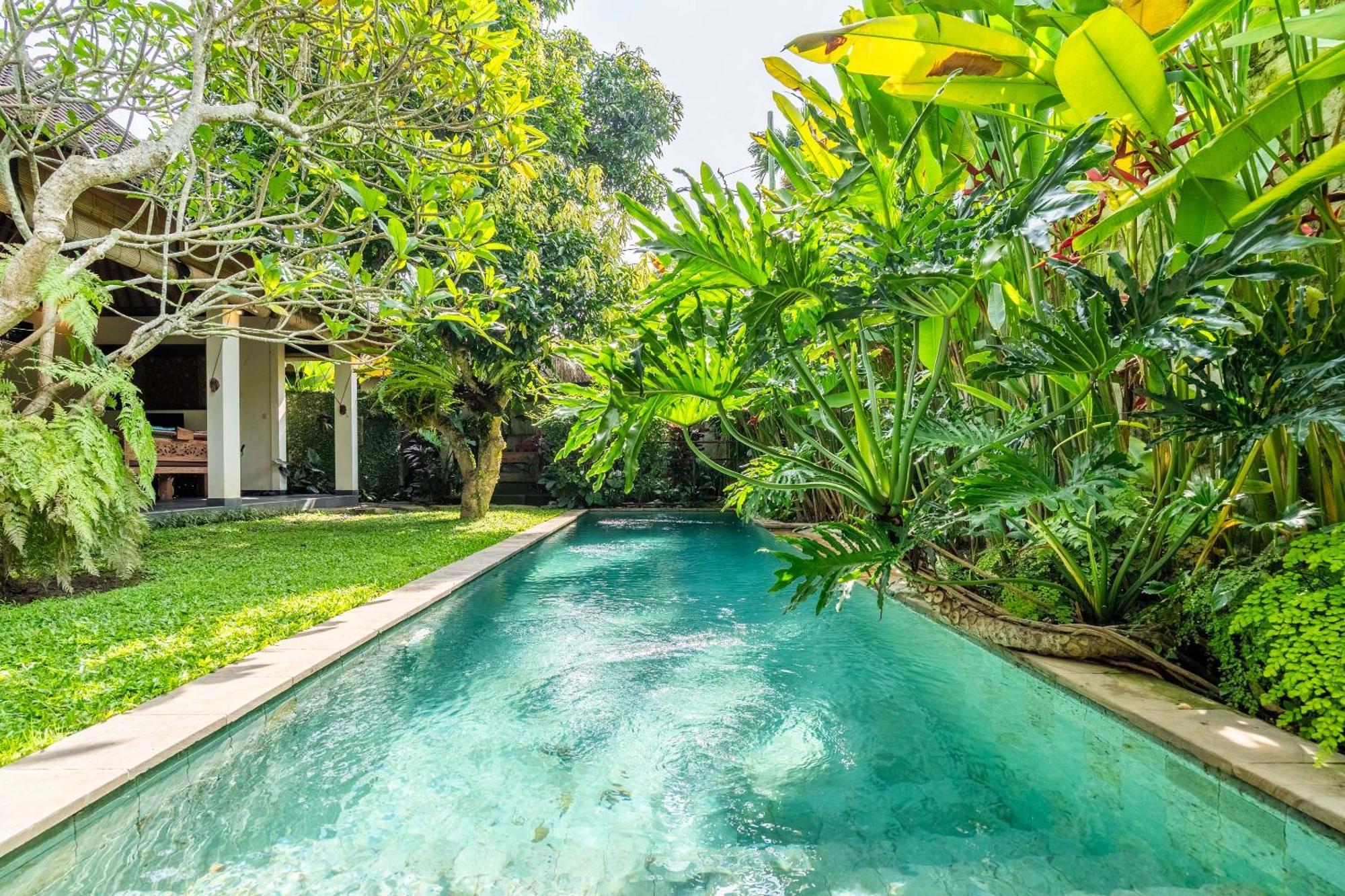 Mangga * Ubud (Bali)